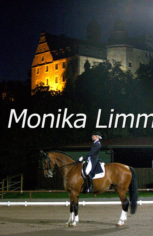 009L3543_Enrico_Dressur S Kuer.JPG